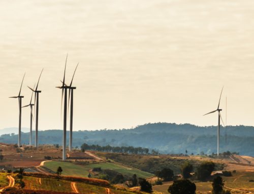 The Rise of Sustainable Construction Practices in the Industry